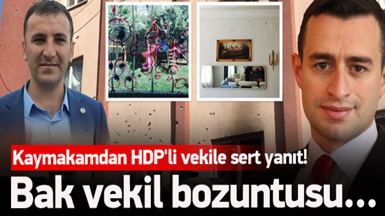 Kaymakam HDP'li vekile dersini verdi