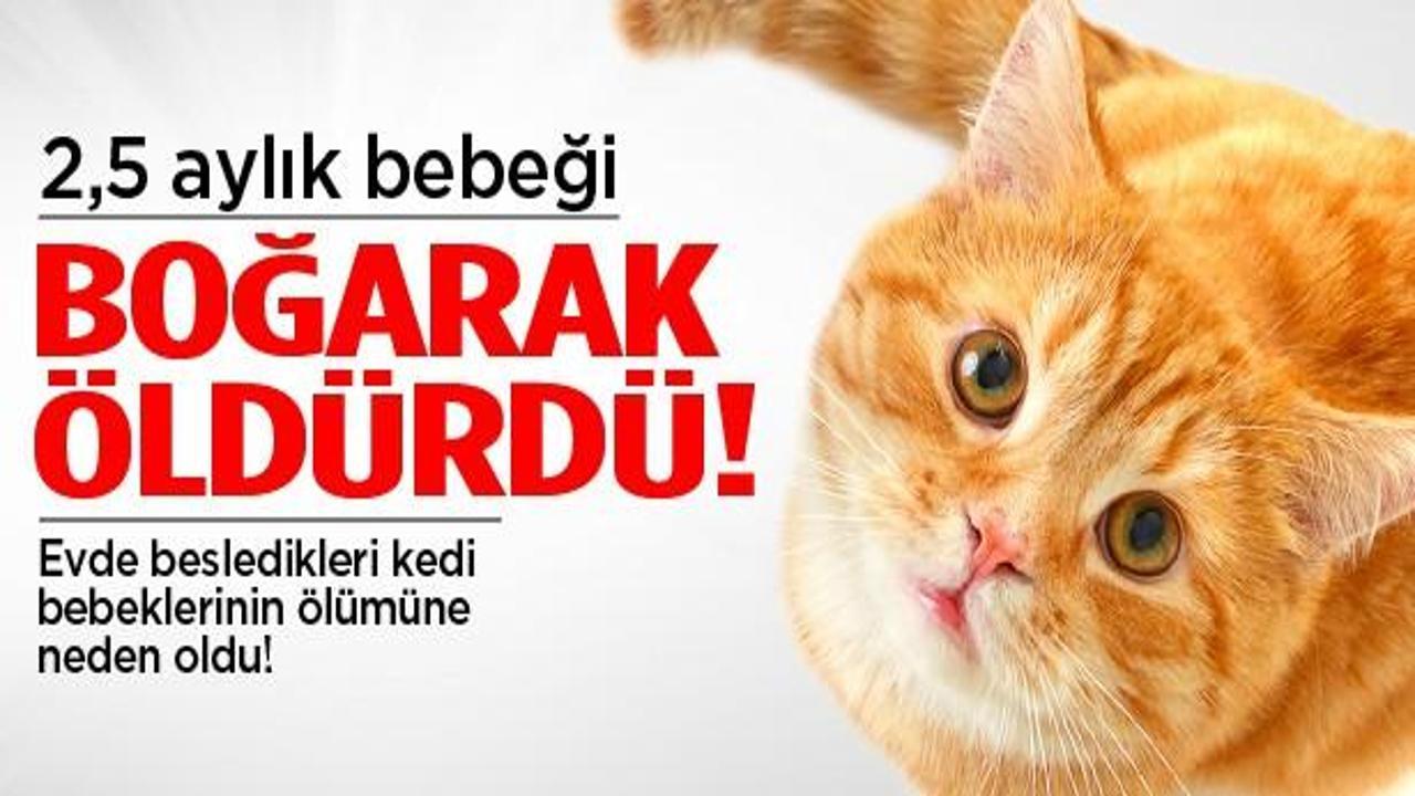 Kedi, 2.5 aylık bebeği boğarak öldürdü!