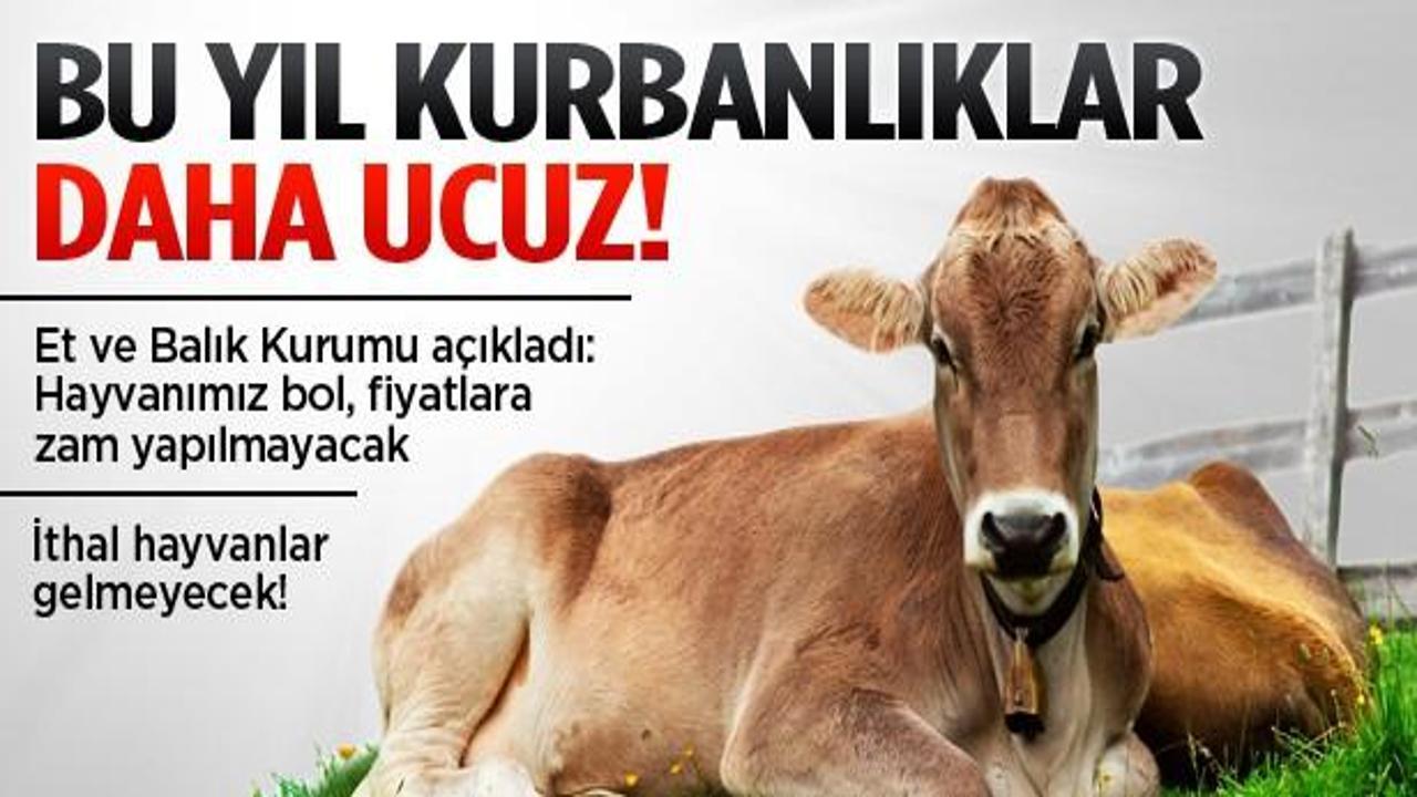 Kurbanlık fiyatlarına bu yıl zam yok!