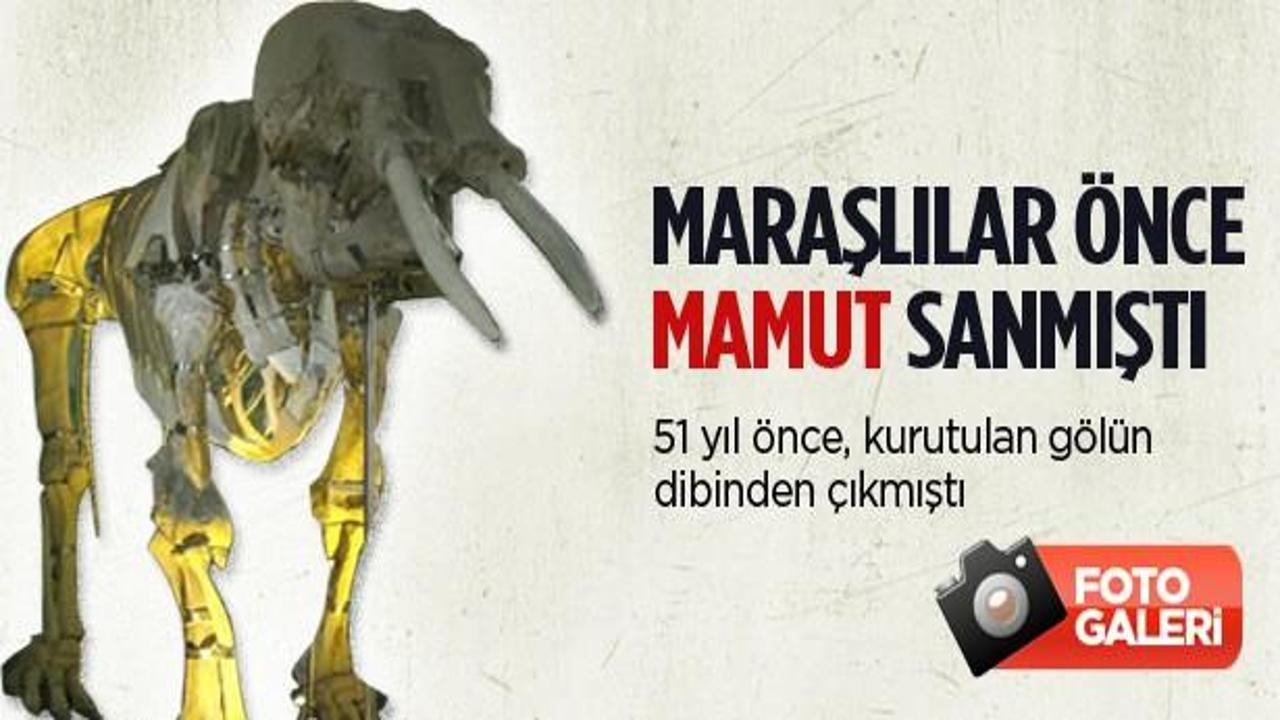 Mamut sanılan Maraş Filllerine ilgi büyük