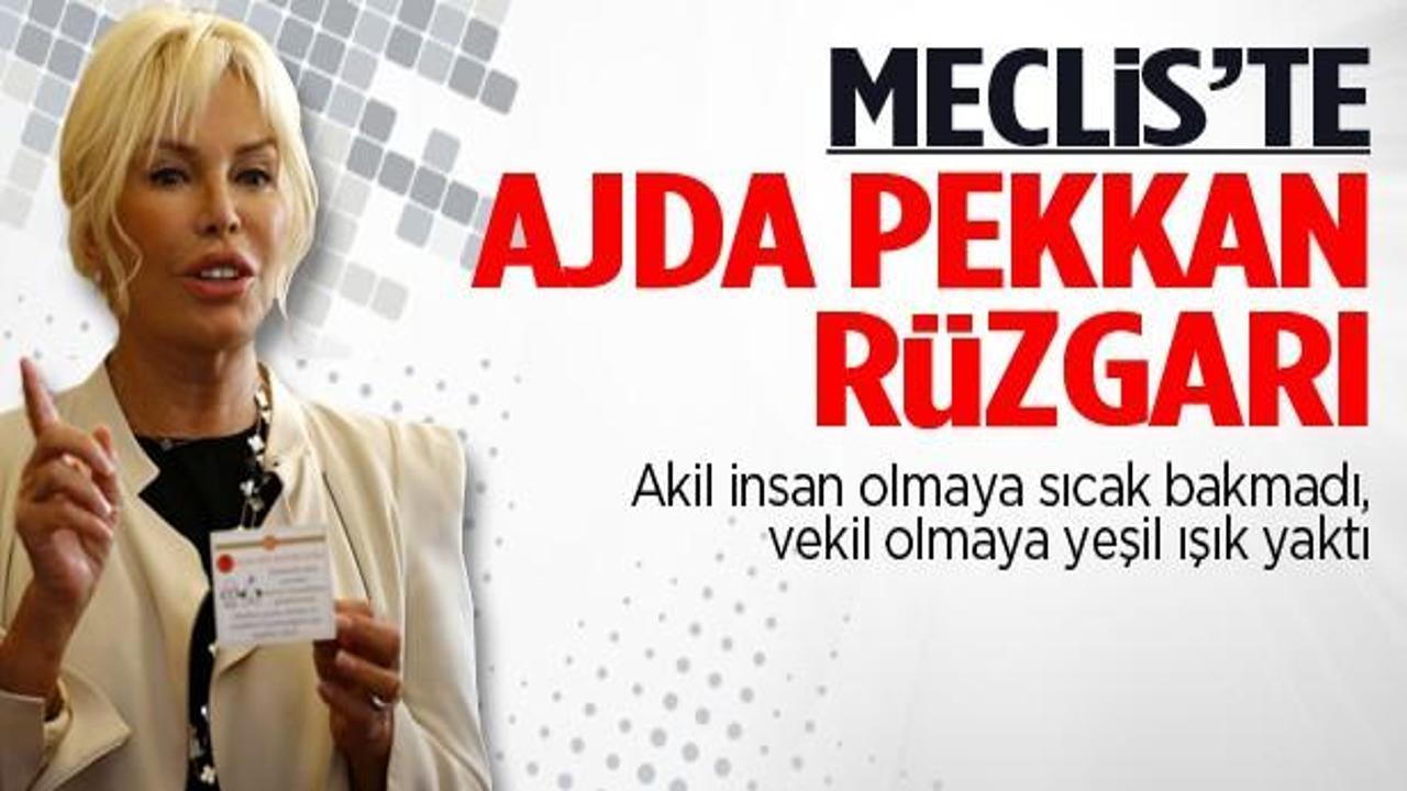 Meclis'te Ajda Pekkan rüzgarı esti