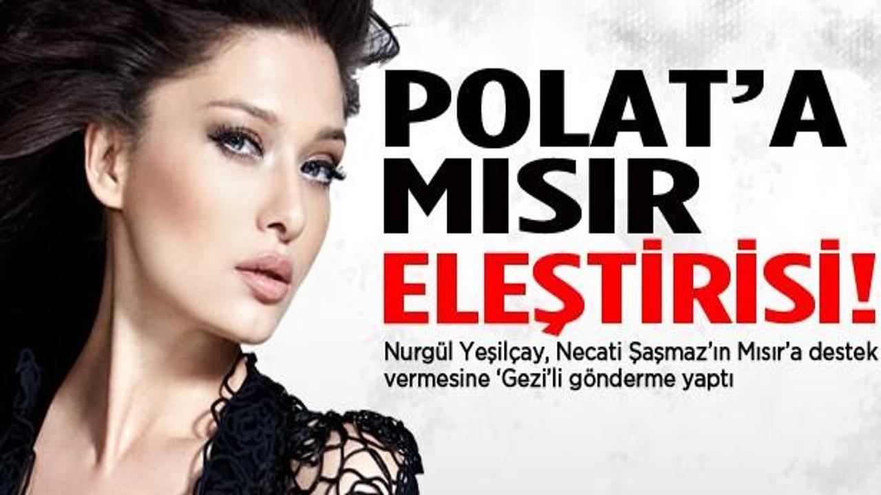 Nurgül Yeşilçay'dan Polat'a Mısır eleştirisi