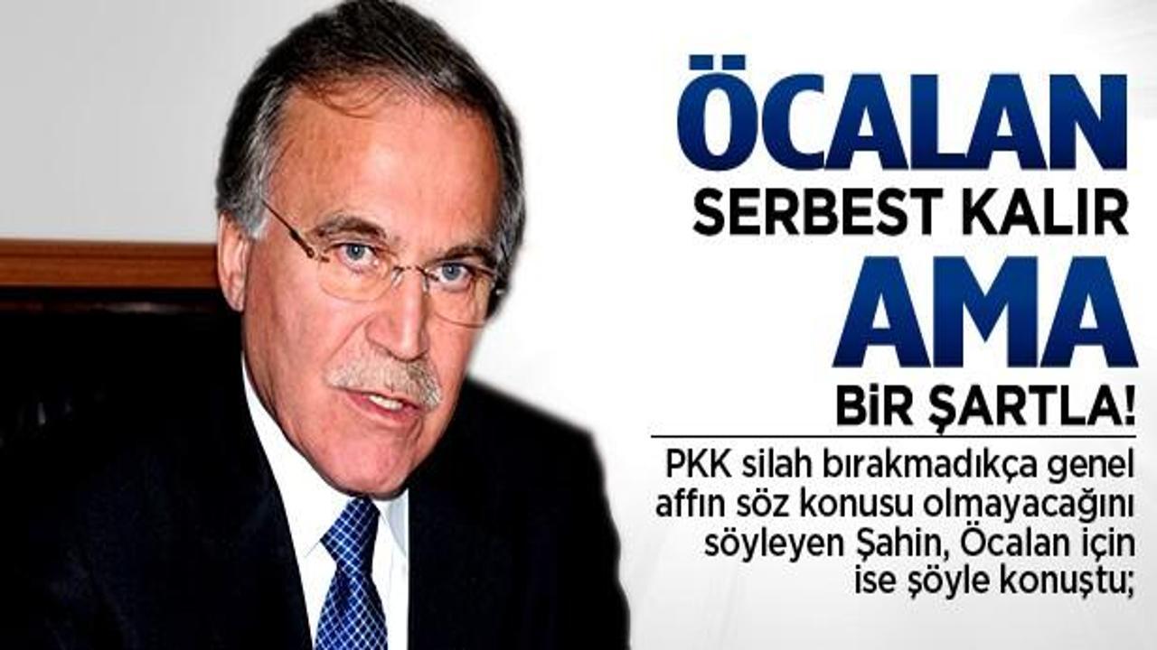 Öcalan serbest kalır ama bir şartla!