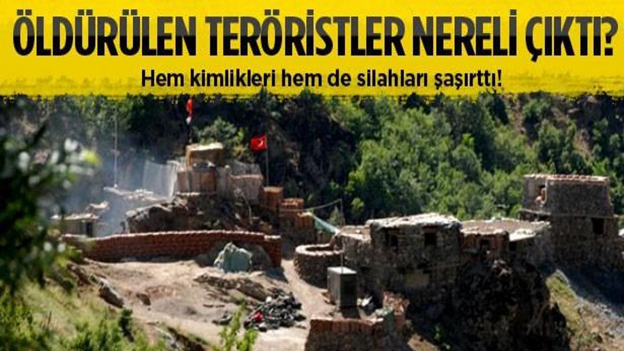Öldürülen PKK'lılar bakın nereli çıktı?