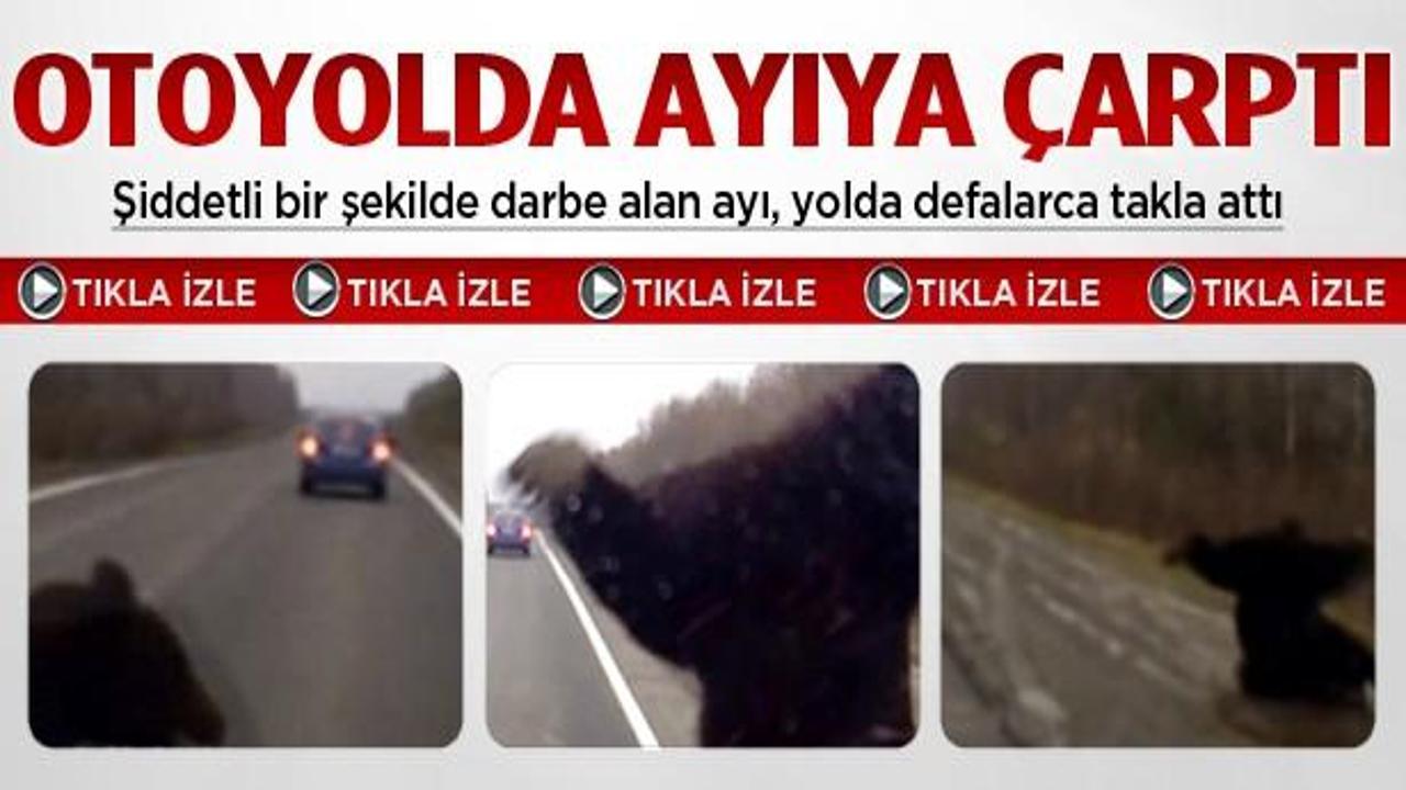 Otomobilin yola fırlayan ayıya çarpma anı İZLE