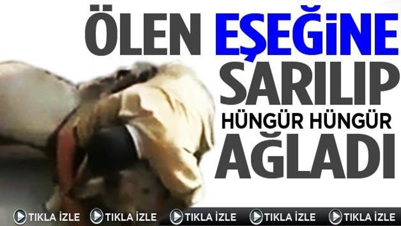 Patlamada ölen eşeğine sarılıp ağladı