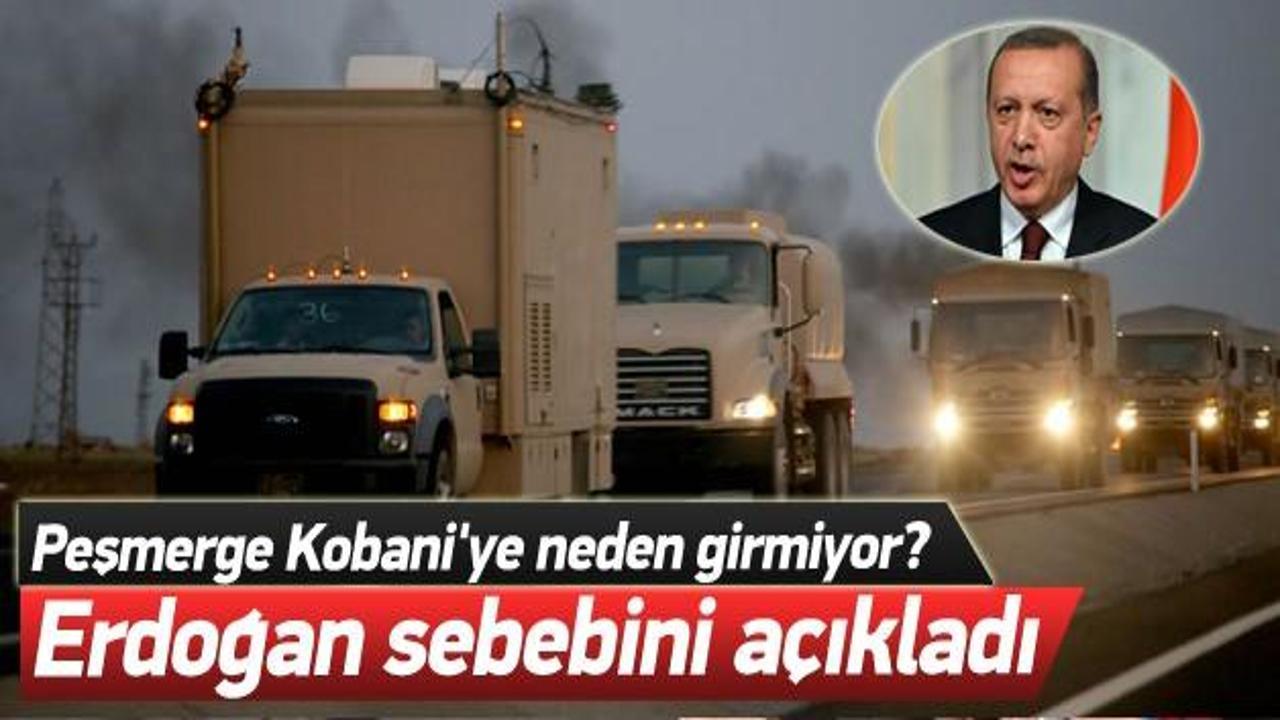Peşmerge Kobani'ye neden girmiyor?