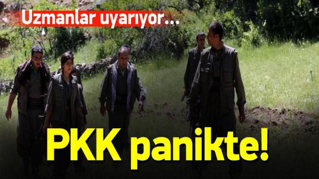 PKK panikte! Uzmanlardan 'ateşkes' uyarısı