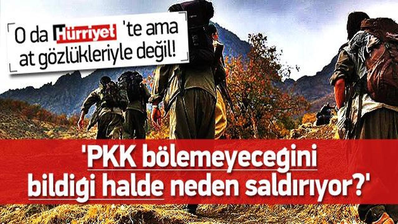 PKK Türkiye'yi bölemeyeceği halde neden saldırıyor