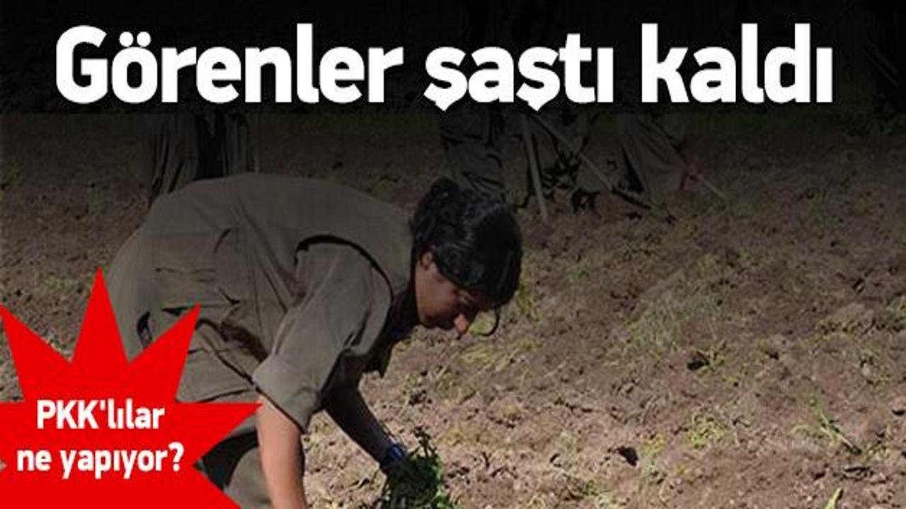 PKK'lıların bu görüntüleri çok şaşırttı!