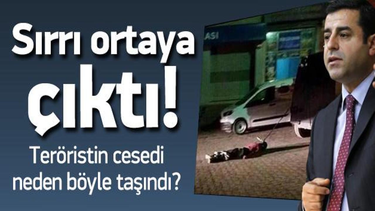 PKK'lının cesedi neden sürüklendi?