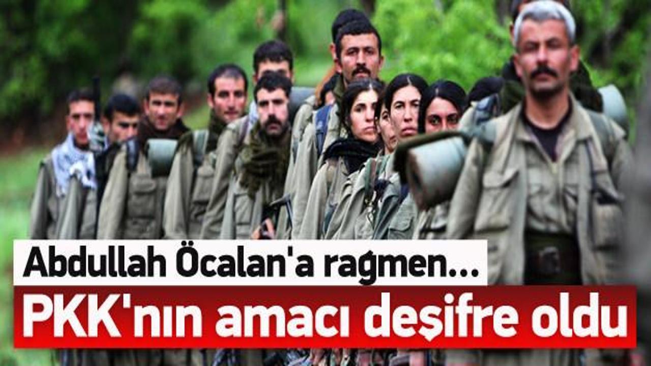 PKK'nın planı deşifre oldu