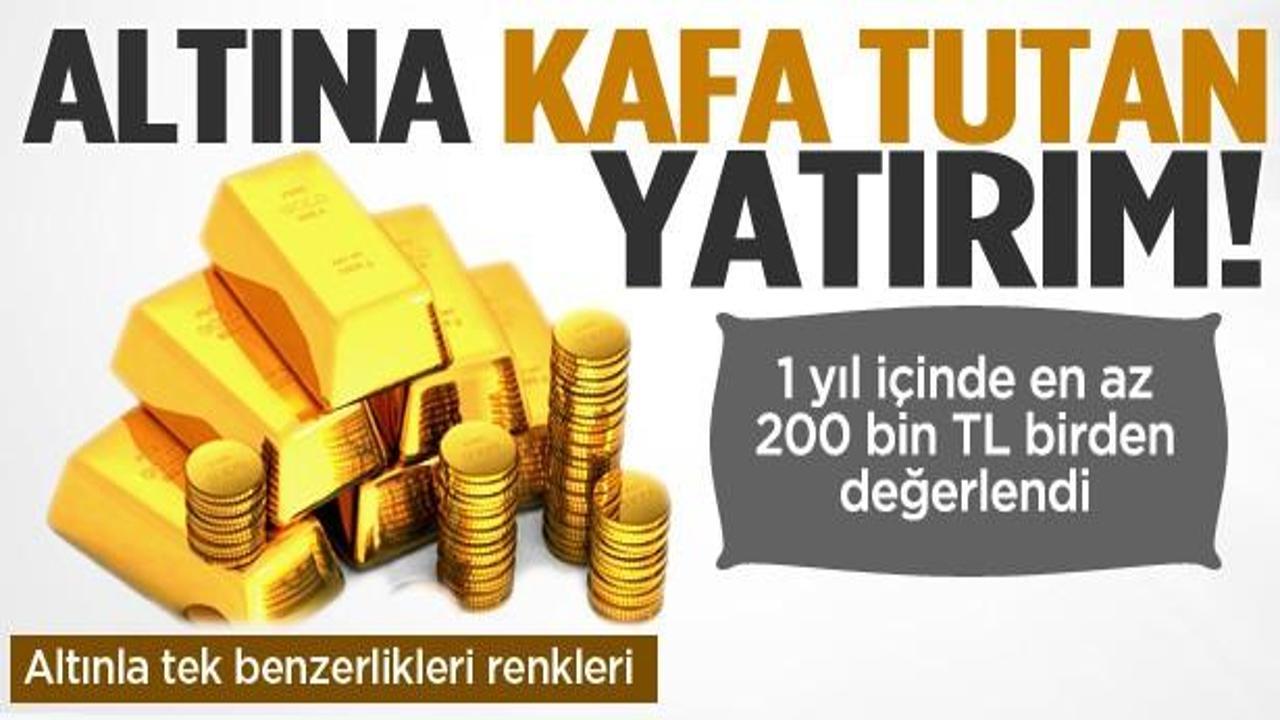 Plaka 1.2 milyon TL oldu şoförler iş bakıyor!