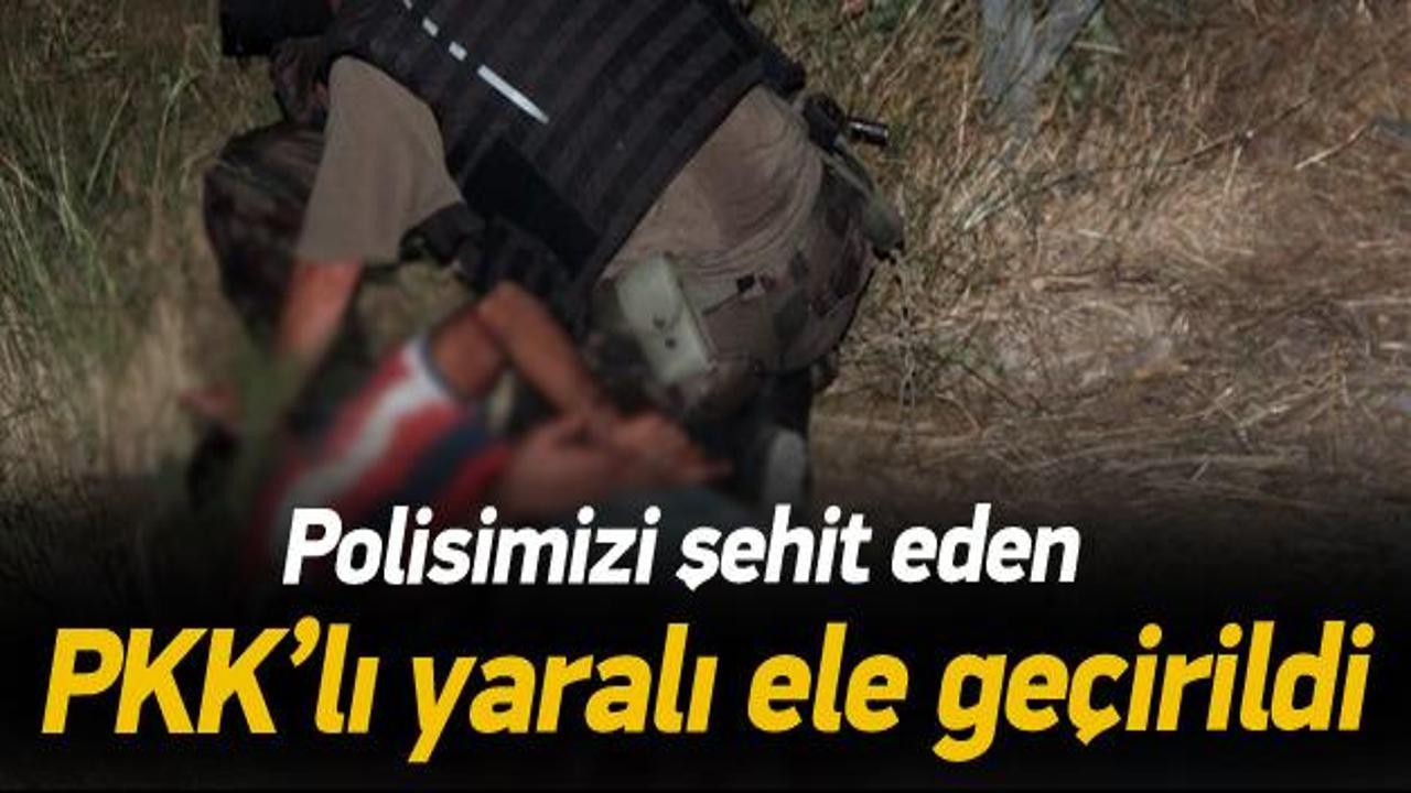Polisimizi şehit eden PKK'lı yaralı ele geçirildi