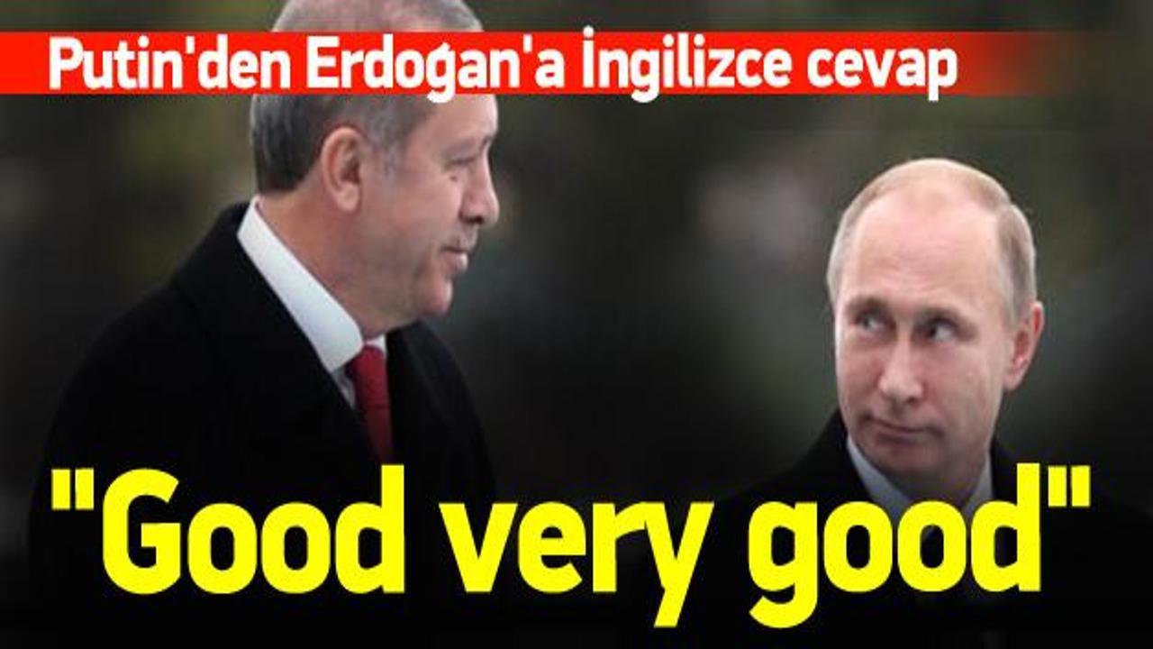 Putin'den Erdoğan'a İngilizce cevap