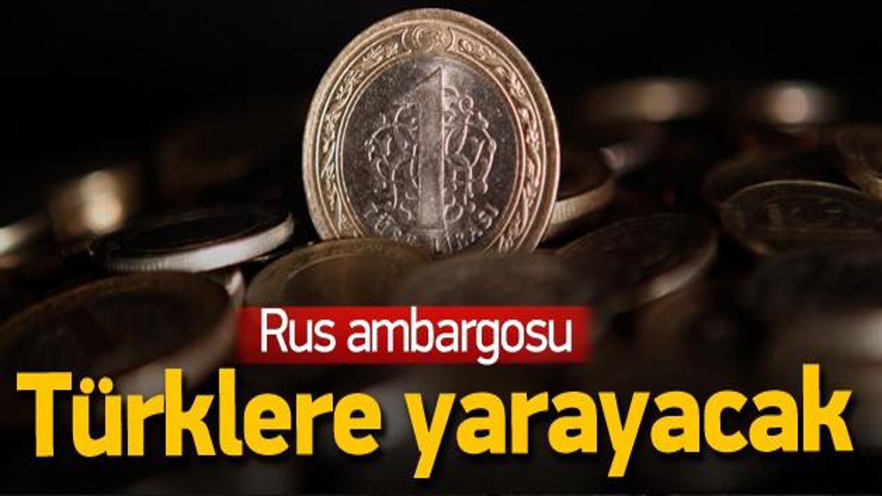 Rus ambargosu Türk vatandaşına yarayacak