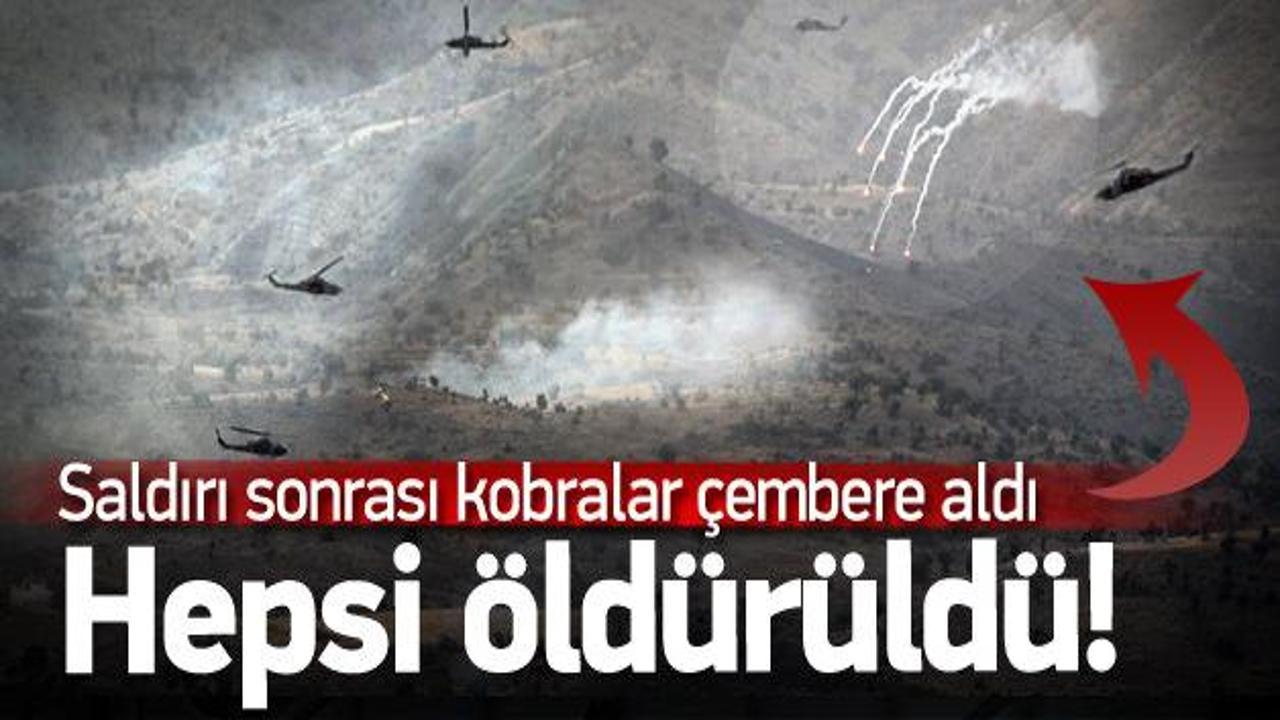 Saldırı sonrası PKK'lıları kobralar bombaladı!