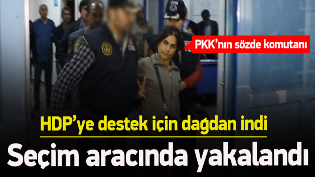 Dağdan inen PKK'nın s&ouml;zde komutanı yakalandı