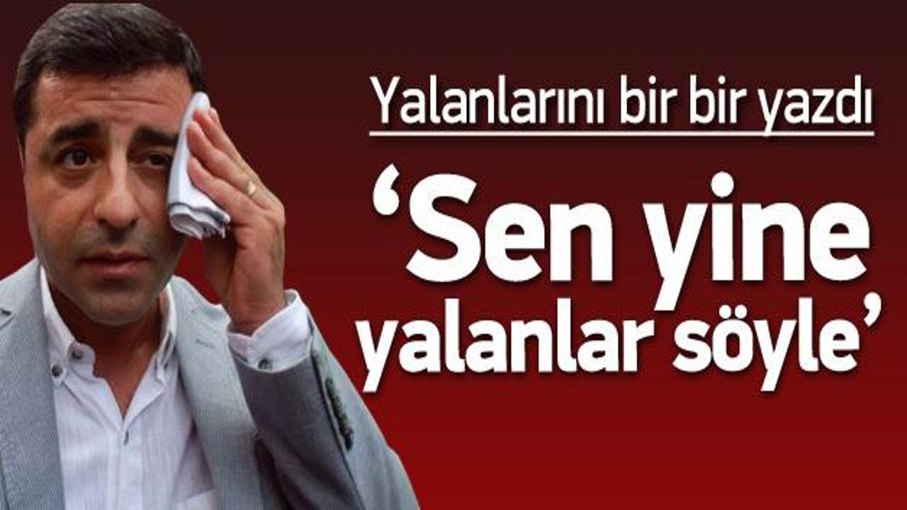 'Sen yine yalanlarını söyle Demirtaş'