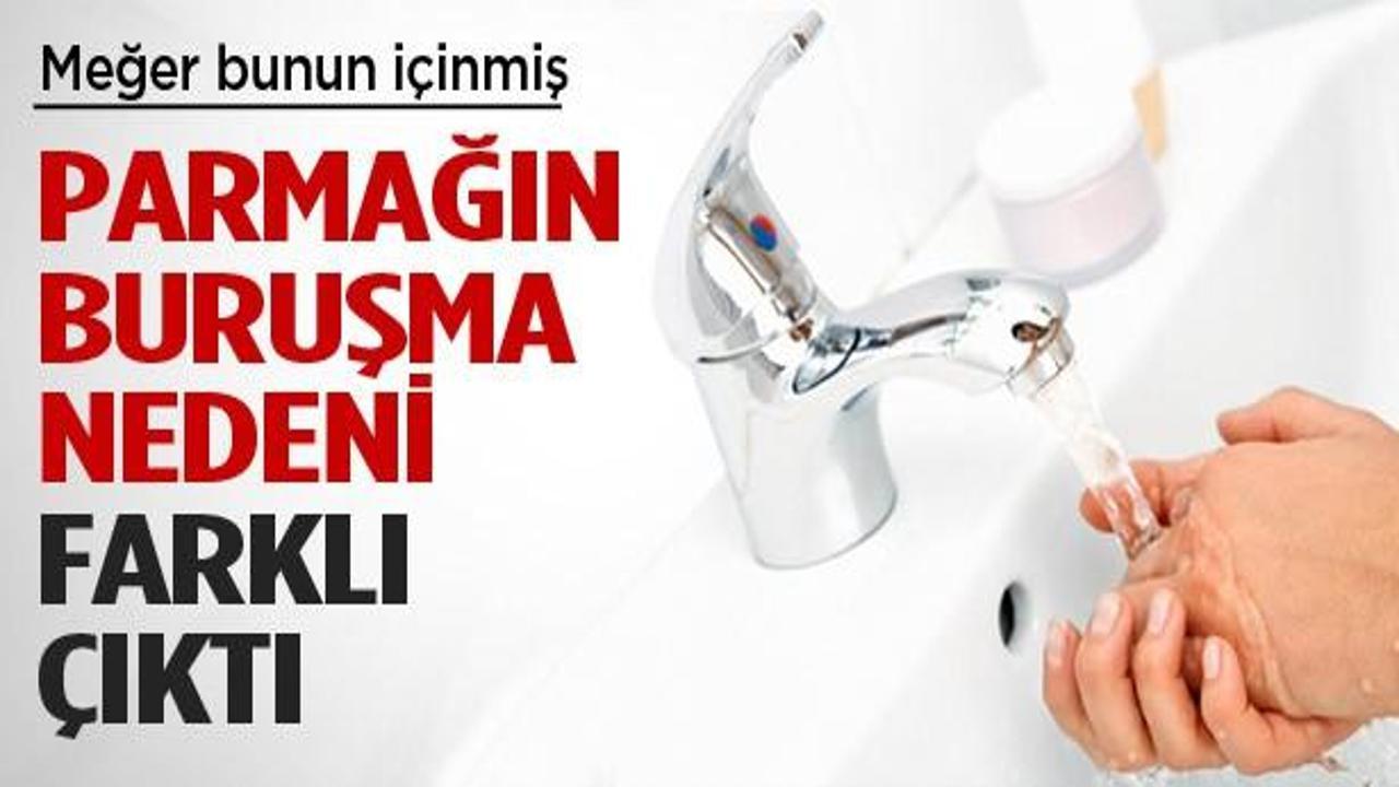 Suda parmakların buruşma nedeni farklı çıktı