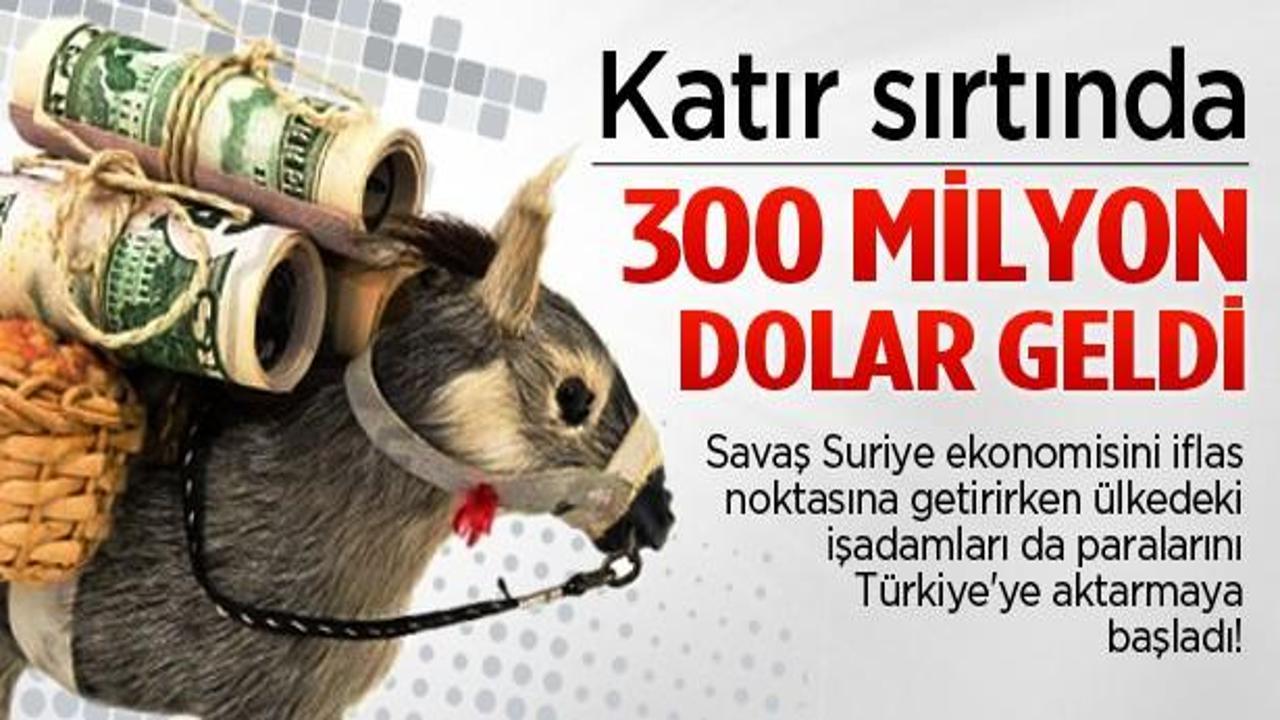 Suriye'den Türkiye'ye katırlarla dolar akıyor!