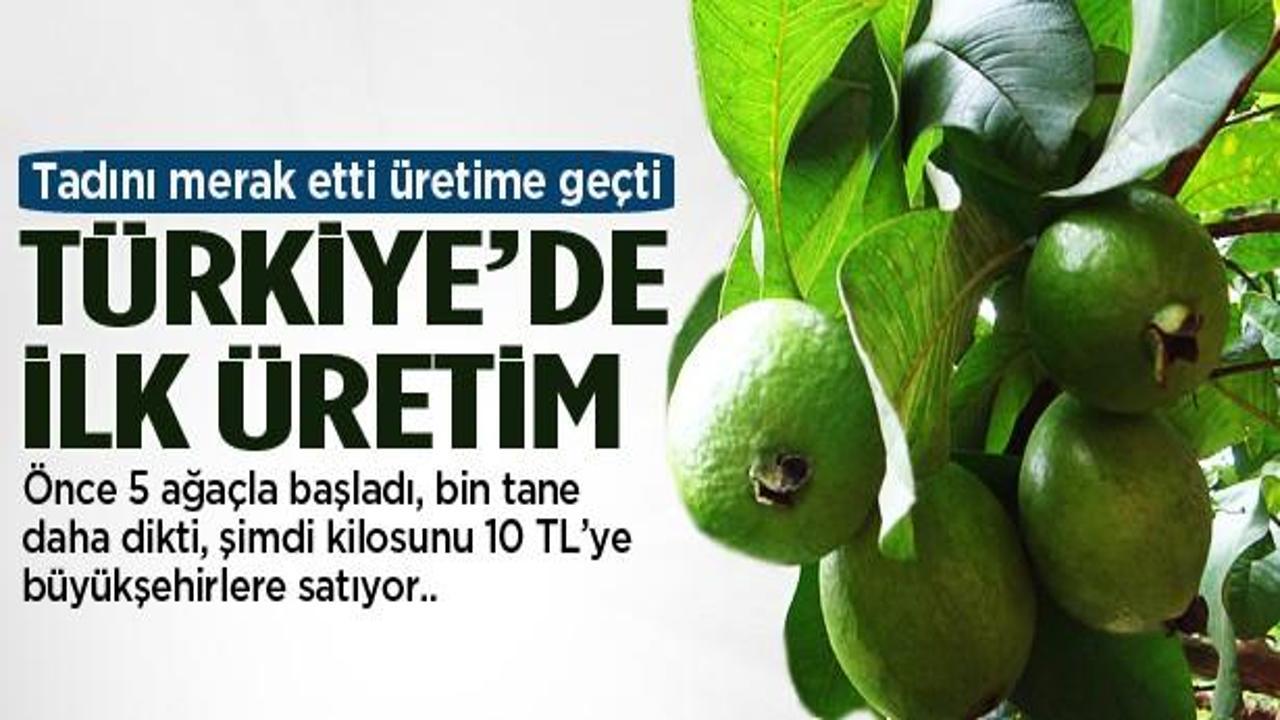 Tadını merak etti üretime başladı