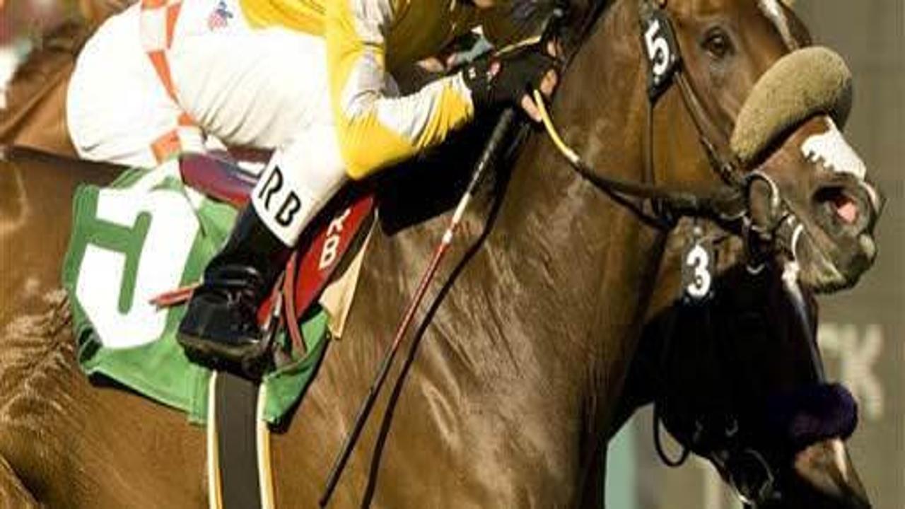 140 Bin TL'ye tay satıldı