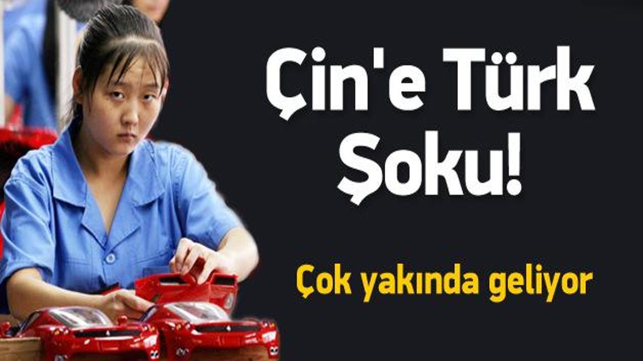Türkiye milli oyuncak için atağa geçti