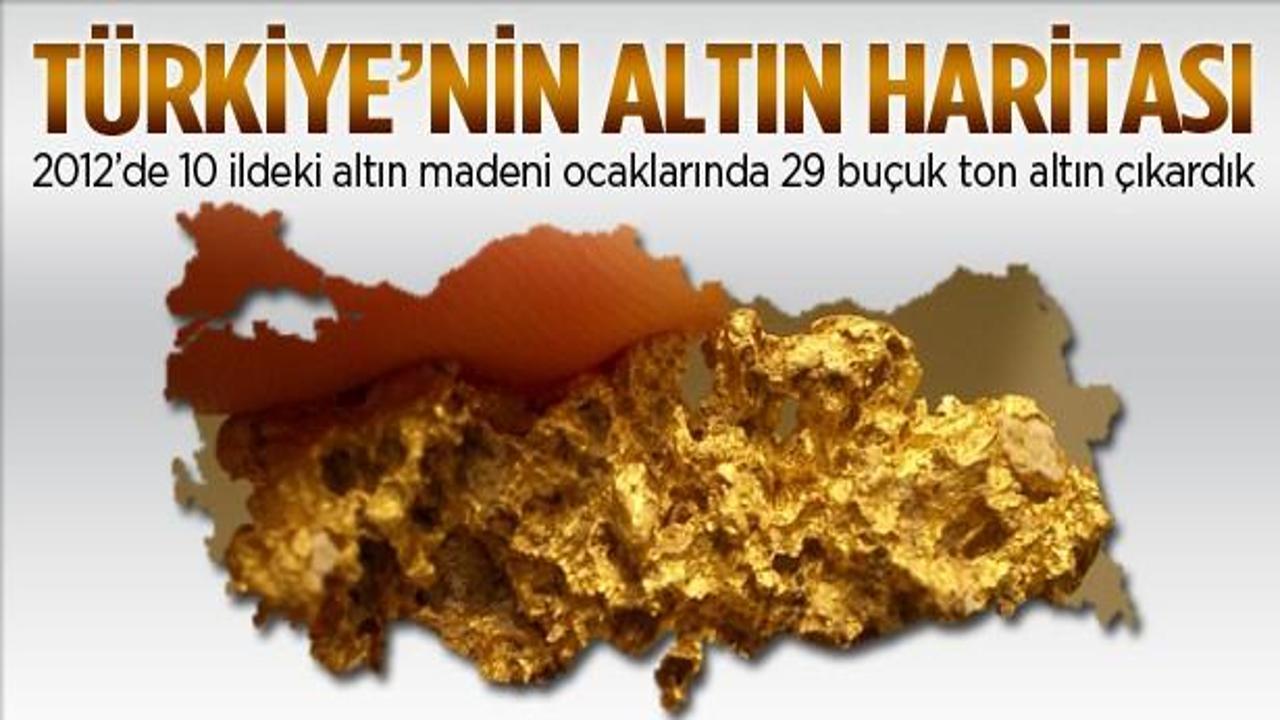 Türkiye'de 29 buçuk ton altın çıkarıldı