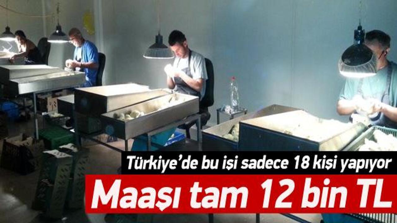Türkiye'de bu işi sadece 18 kişi yapıyor