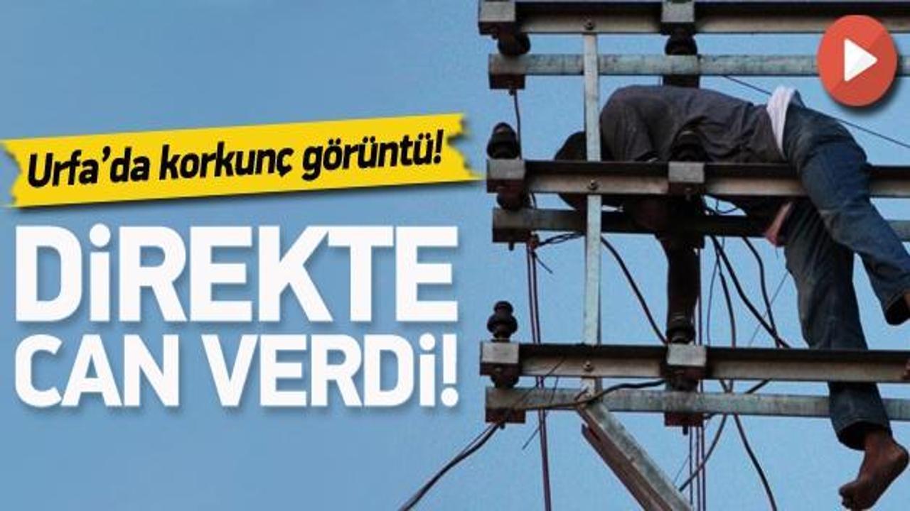 Urfa'da korkunç görüntü! Direkte can verdi