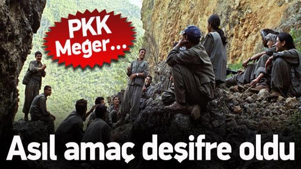 Ve PKK'nın asıl amacı deşifre oldu