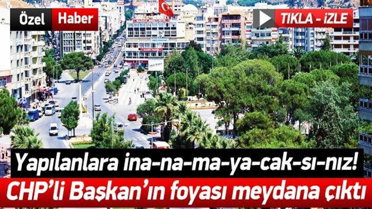 Yalova ve İzmir'den sonra Aydın'da ağaç katliamı