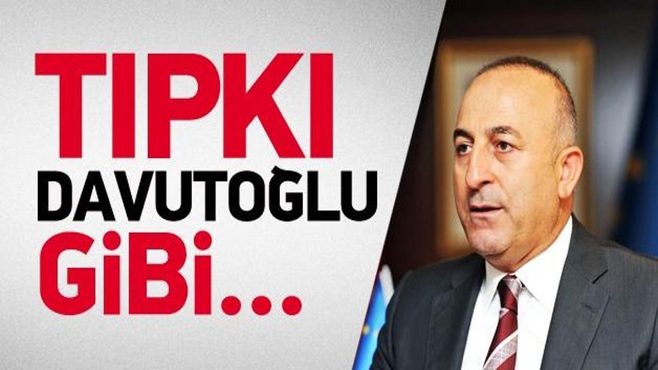Yeni Dışişleri Bakanı Mevlüt Çavuşoğlu oldu