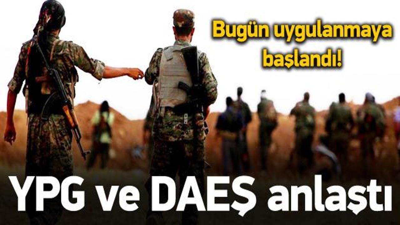 YPG ve DAEŞ anlaştı! Bugün uygulandı
