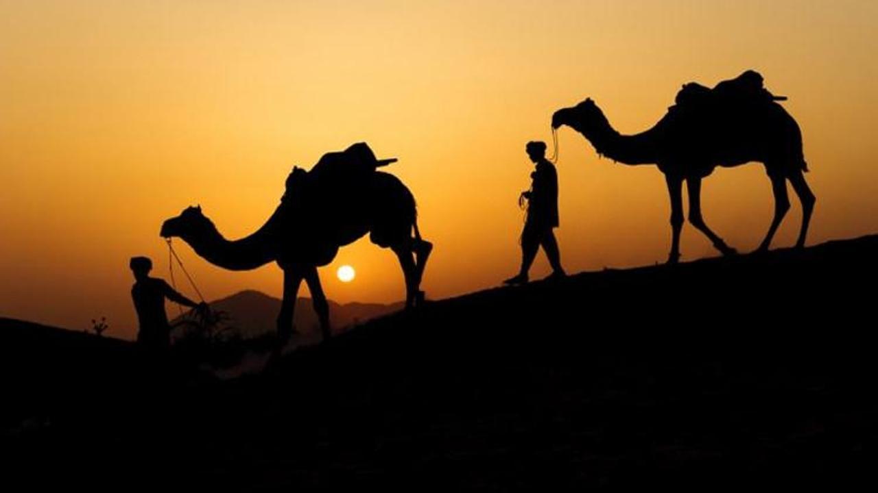 Rüyada deve görmek nasıl yorumlanır? Ne anlama gelir - Haber 7 YAŞAM