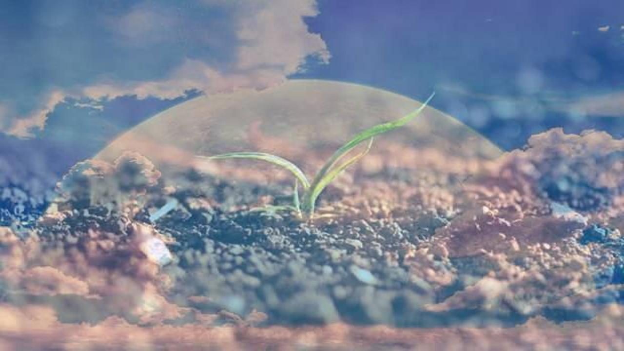 Rüyada toprakla uğraşmak ne demek? Rüyada toprak kayması neye işarettir