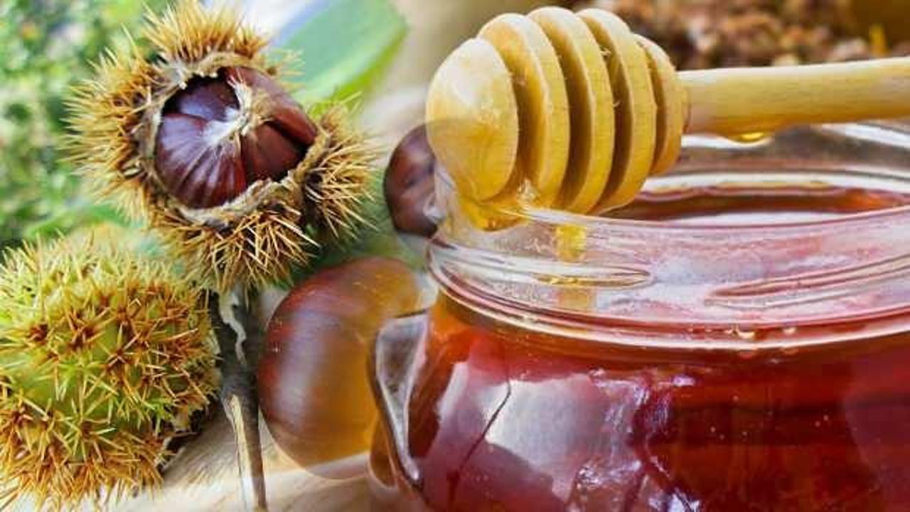 Каштановый Мед Полезные Свойства Цена