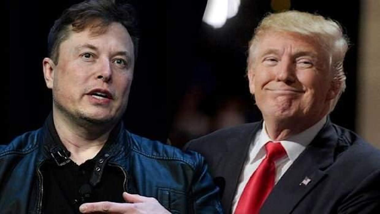 Илон маск и трамп. Илон маск и трамп фото. Jordan peterson elon musk donald trump andrew tate are together picture. Маск если трамп проиграет. Маск если трамп проиграет.