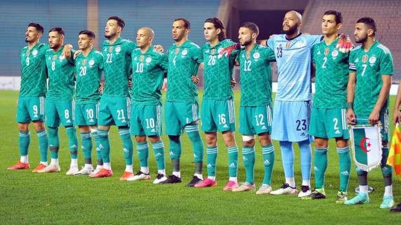 Algerie Chat