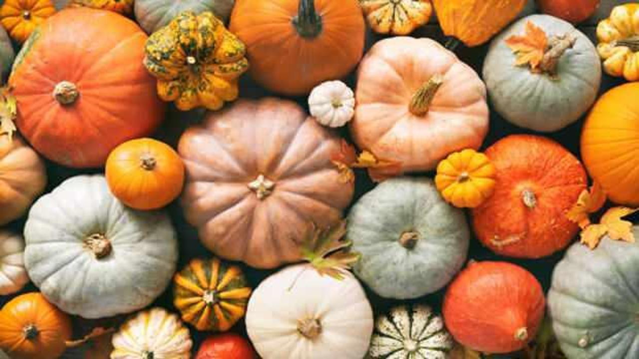 Rüyada kabak görmek ne anlama gelir? - Haber 7 DİNİ BİLGİLER