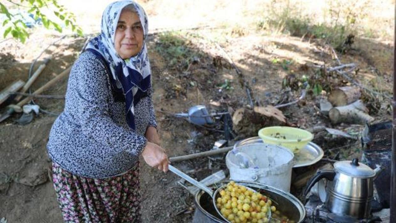 Satılamayan kirazlar kurutularak kışlık çerez oluyor!