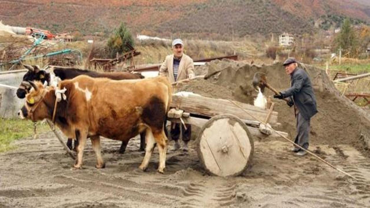 Ölünce sorgu melekleri neler soracak?