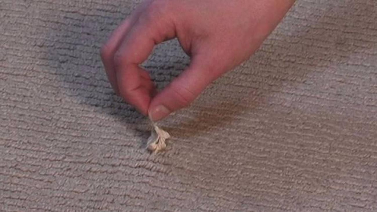 haliya yapisan sakiz nasil cikar pratik bilgiler haberleri