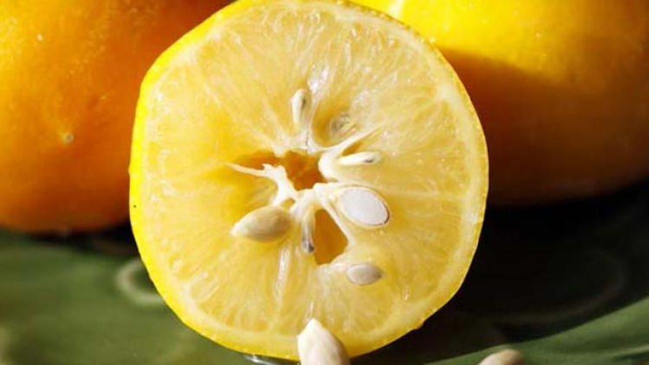Limonu Saciniza Surerseniz Alternatif Tip Haberleri Limonu Saciniza Surerseniz Alternatif Tip Haberleri