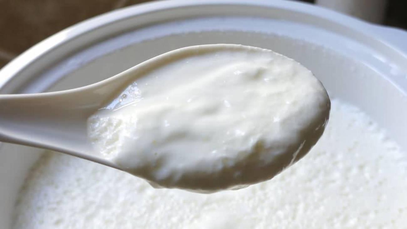 yogurt mayalamanin kolay yolu nedir evde tas gibi yogurt yapimi ev yogurdunun faydasi yemek haberleri