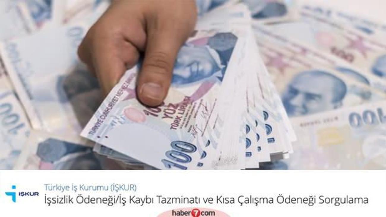 E Devlet Kisa Calisma Odenegi Sorgulama Ekrani Kac Tl Odeme Yapilacak Ekonomi Haberleri