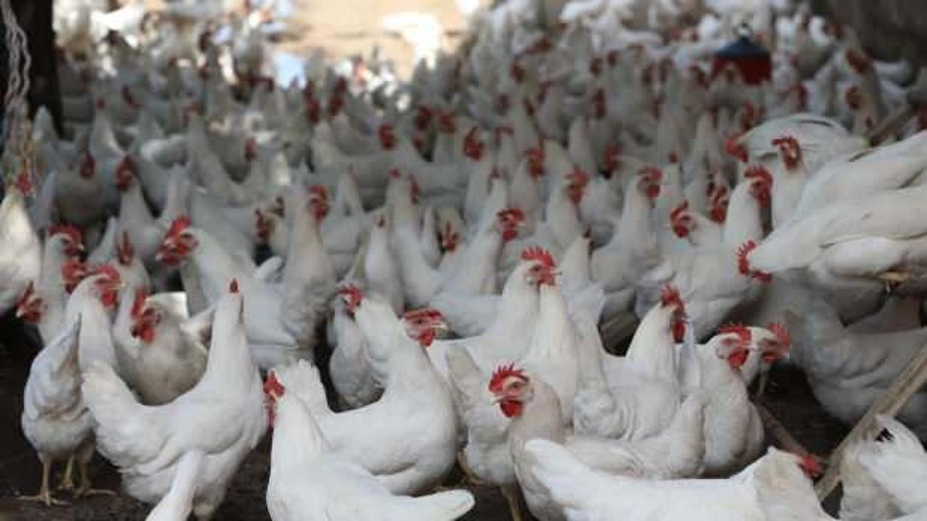 Satisindan Uretimine Gecti Taleplere Yetisemiyor Ekonomi Haberleri Satisindan Uretimine Gecti Taleplere Yetisemiyor Ekonomi Haberleri