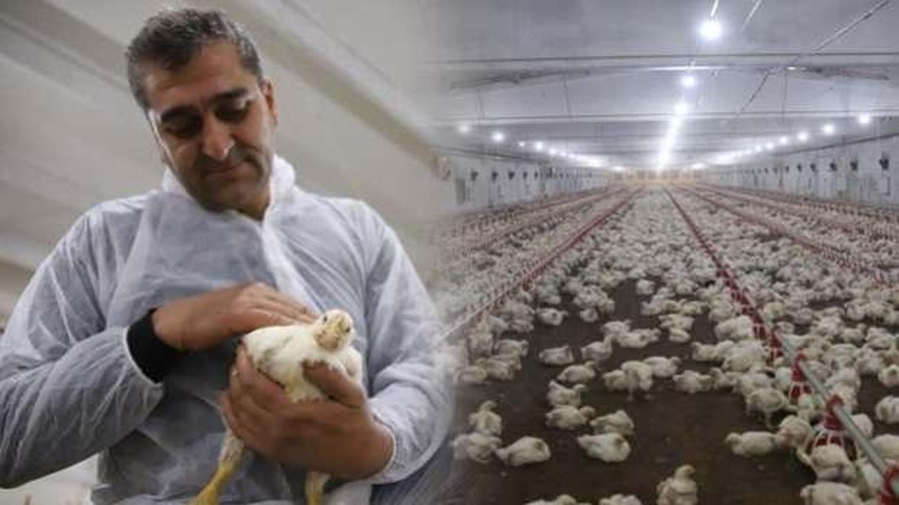 Insaat Iscisiyken Issiz Kaldi Devletten Aldigi Destekle Ciftlik Sahibi Oldu Yasam Haberleri Insaat Iscisiyken Issiz Kaldi Devletten Aldigi Destekle Ciftlik Sahibi Oldu Yasam Haberleri