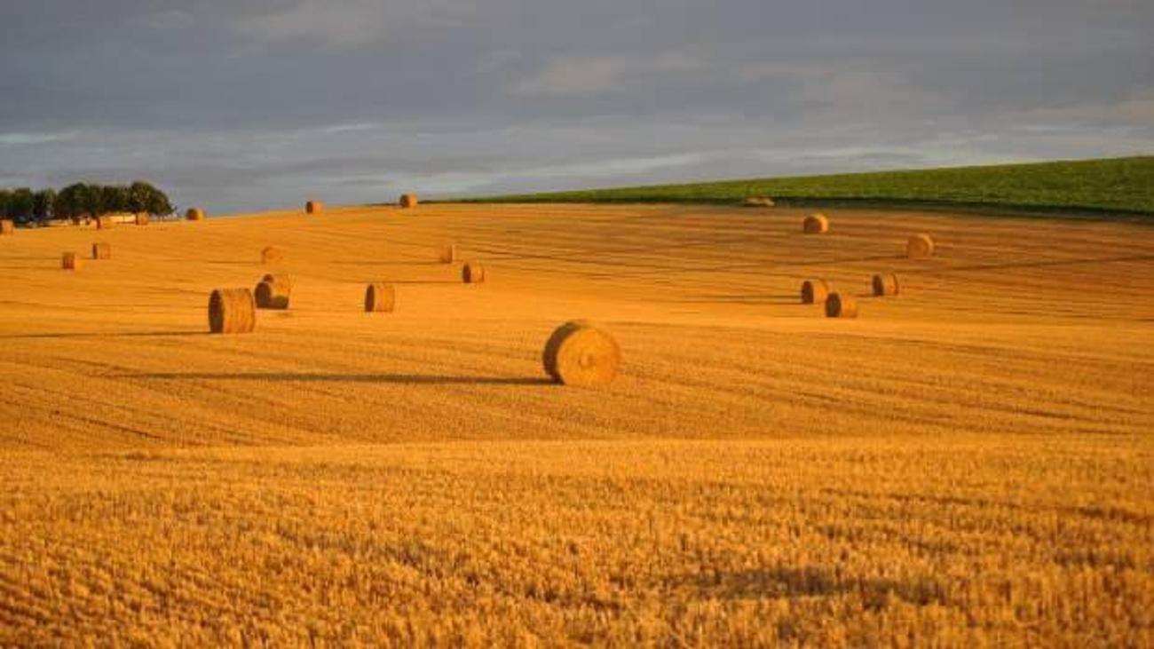 bakanlik harekete gecti miras tarlalar icin yeni duzenleme ekonomi haberleri